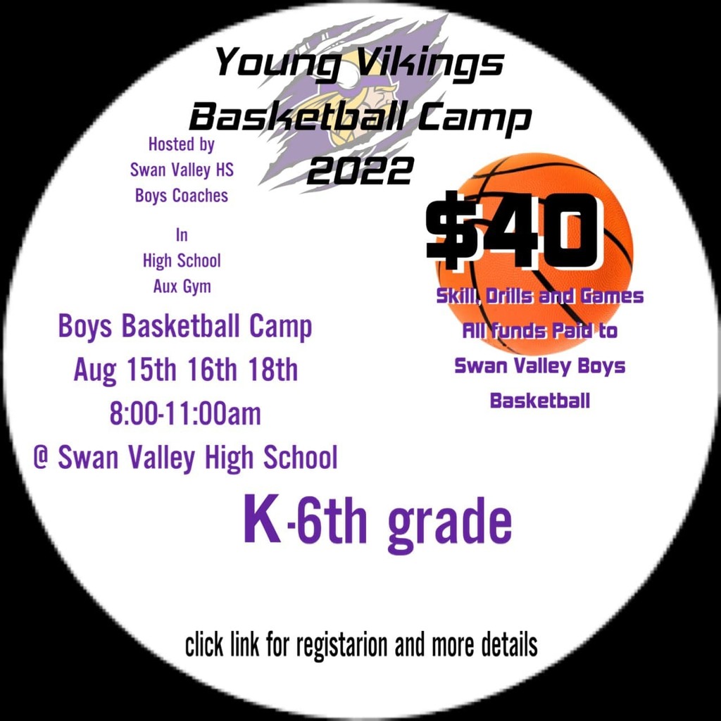 Young Vikings Basketball Camp 2022 Flyer
