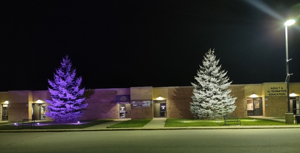 Viking Lights