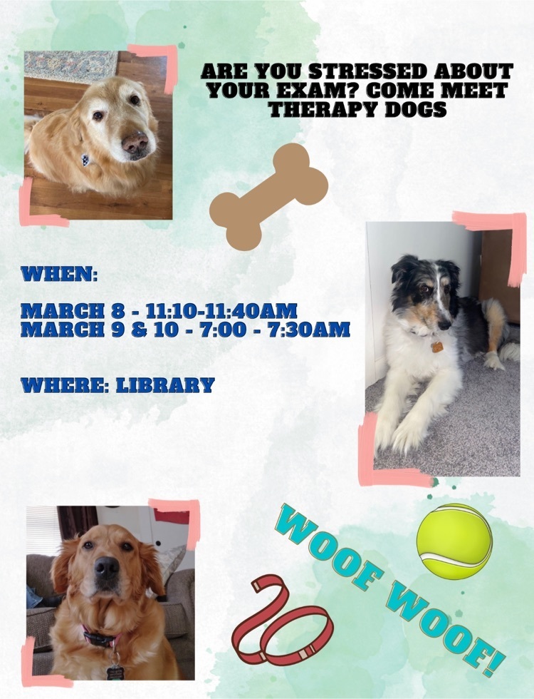 Therapy Dogs in the library flyer with times  